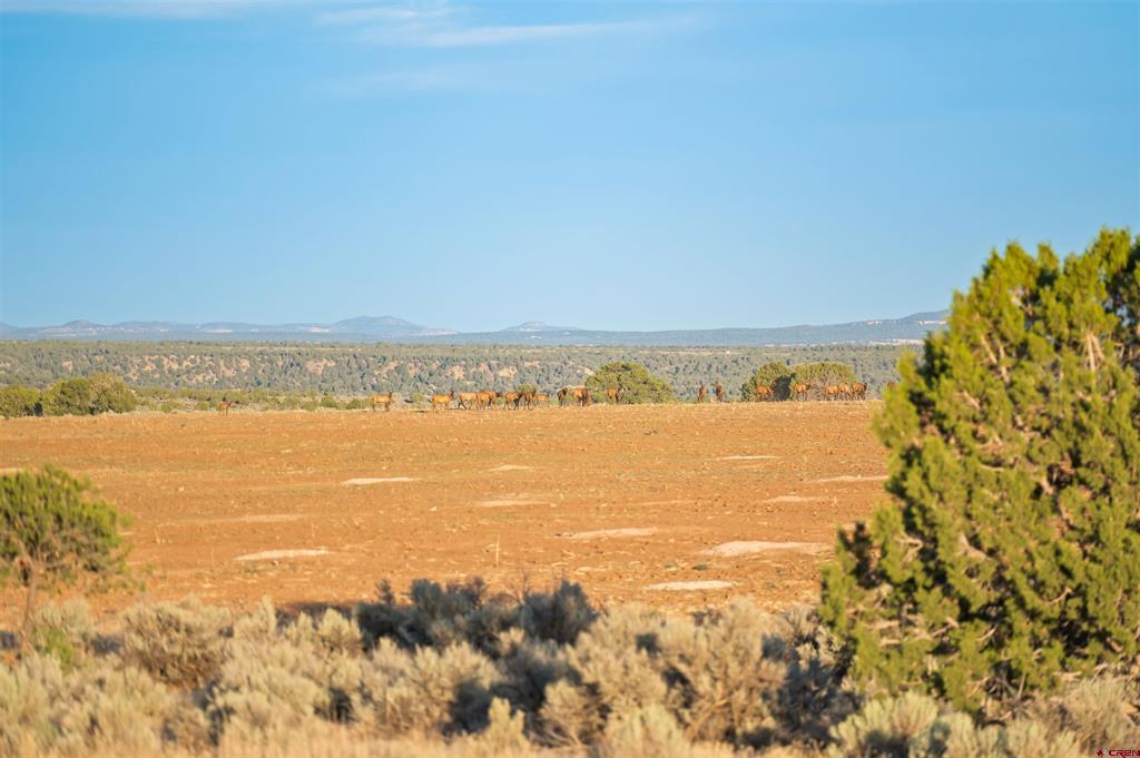 Tbdwp2 County Road 106 Property Photo 24