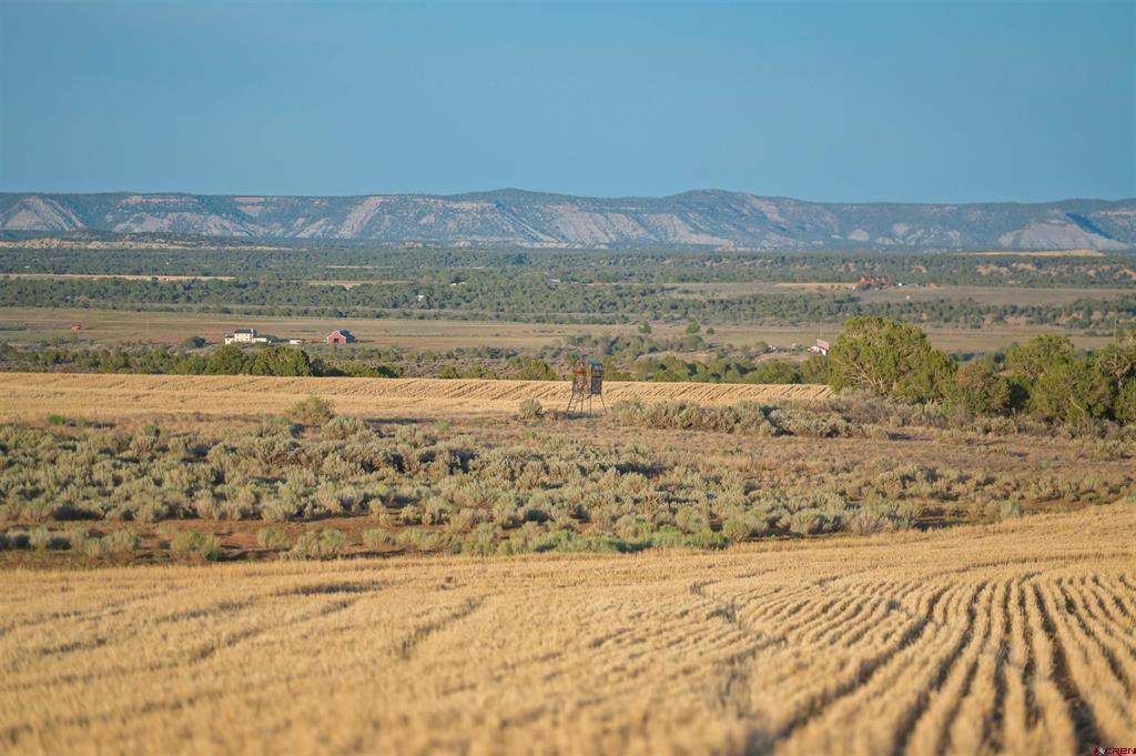 Tbdwp2 County Road 106 Property Photo 44