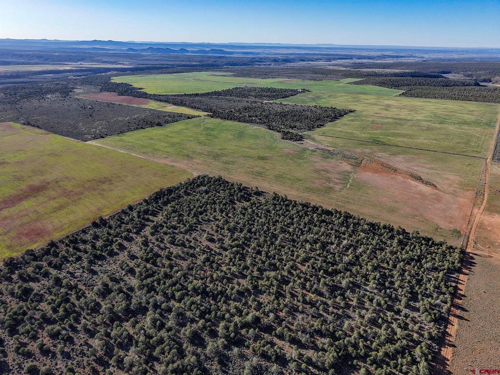 Tbdwp1 County Road 106 Property Photo 23