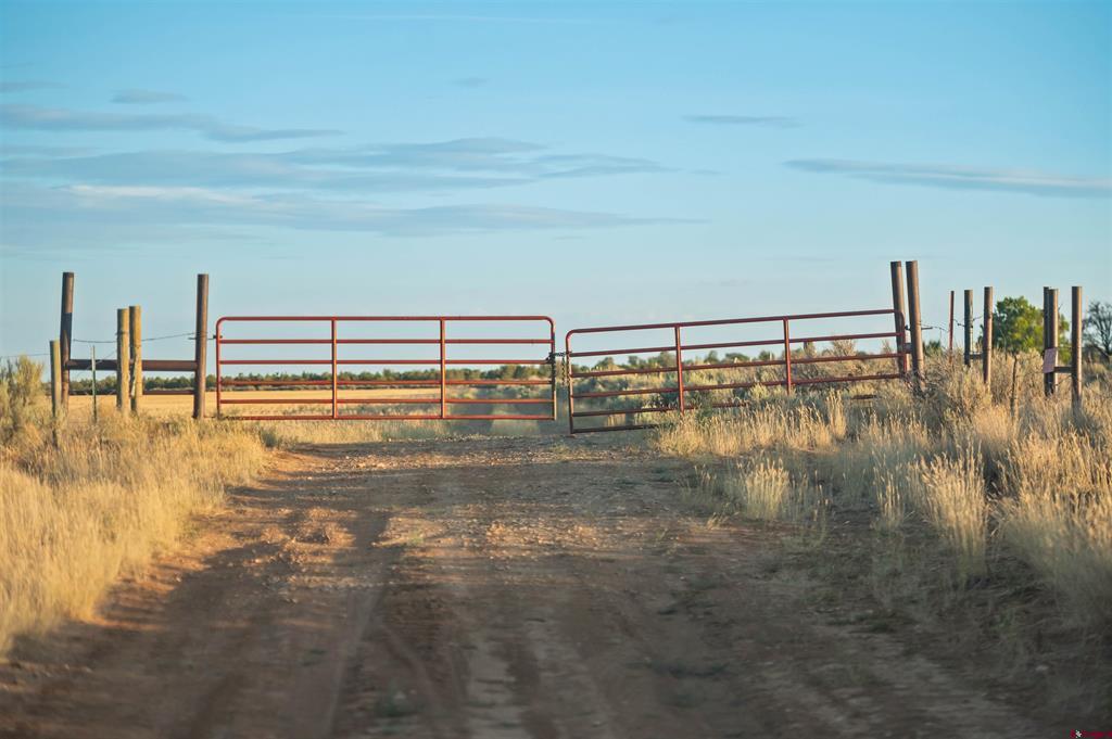 Tbdwp1 County Road 106 Property Photo 43