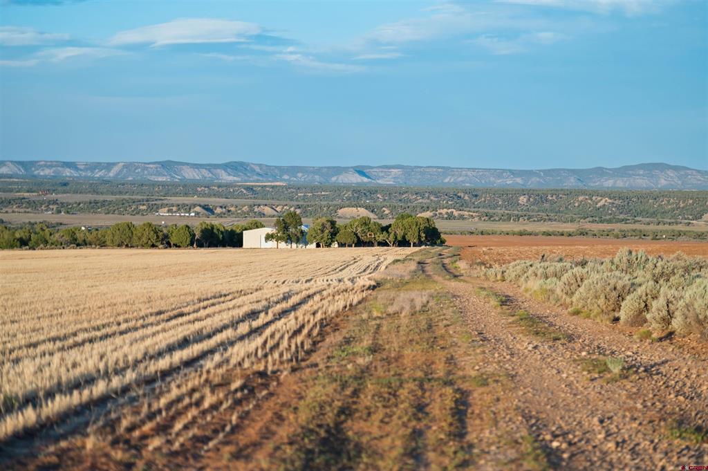 Tbdwp1 County Road 106 Property Photo 45