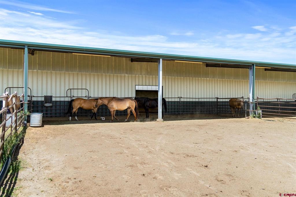 616 Cole Ranch Road Property Photo 12