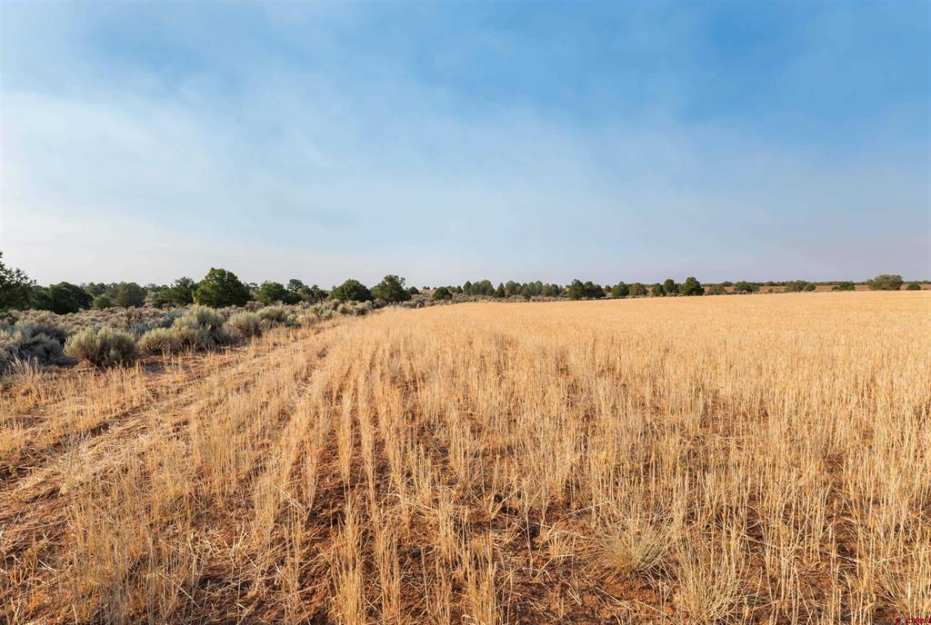 Tbdwp County Road 106 Property Photo 8