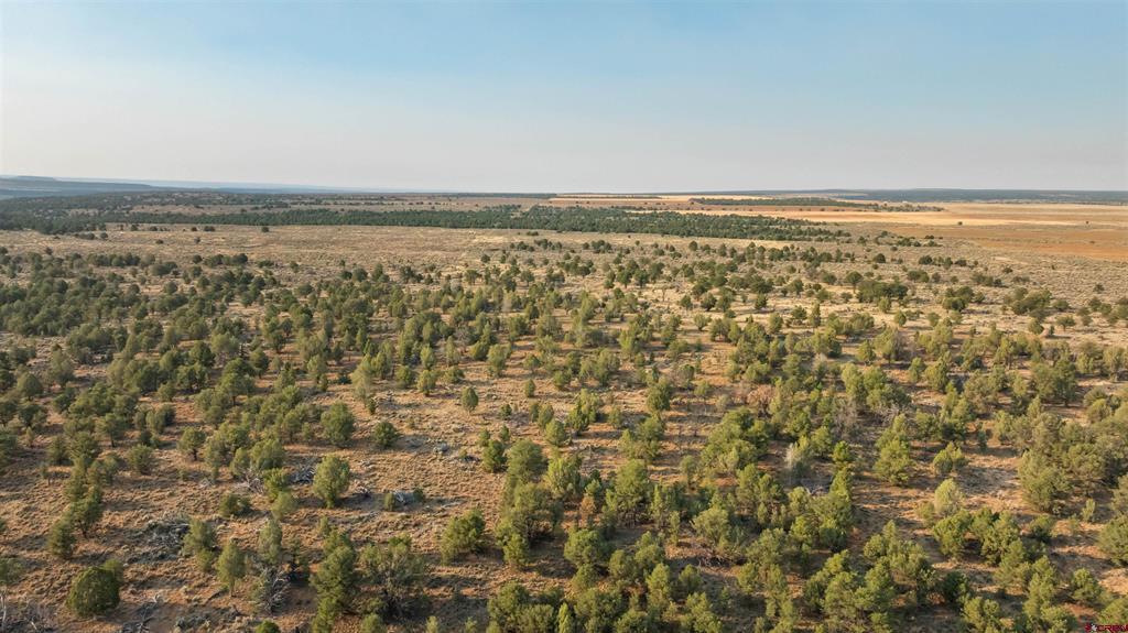 Tbdwp County Road 106 Property Photo 18