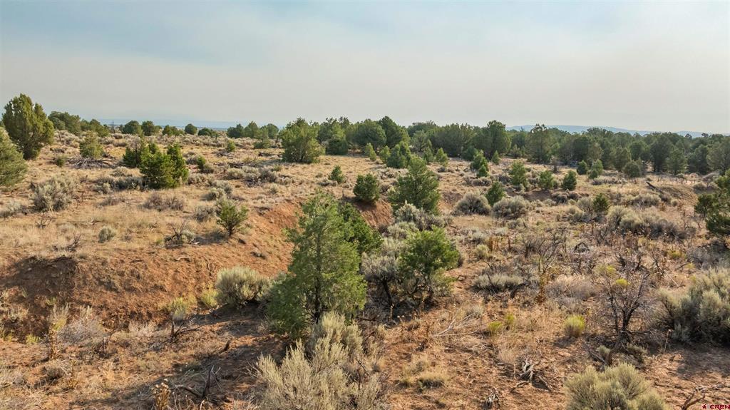 Tbdwp County Road 106 Property Photo 27