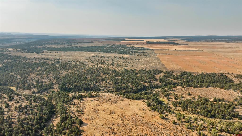 Tbdwp County Road 106 Property Photo 30