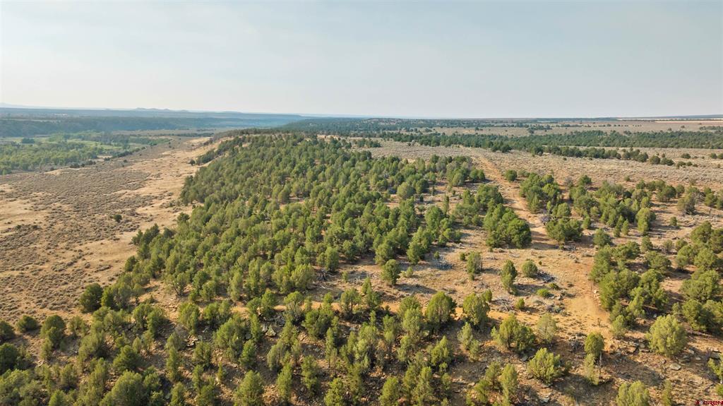 Tbdwp County Road 106 Property Photo 36