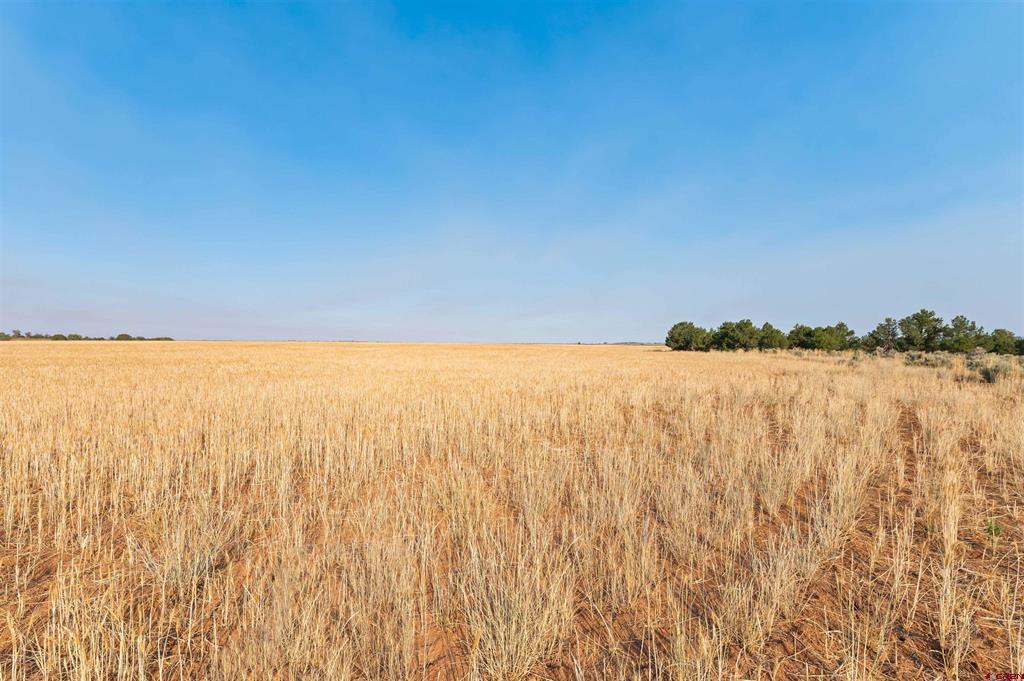 Tbdwp County Road 106 Property Photo 42