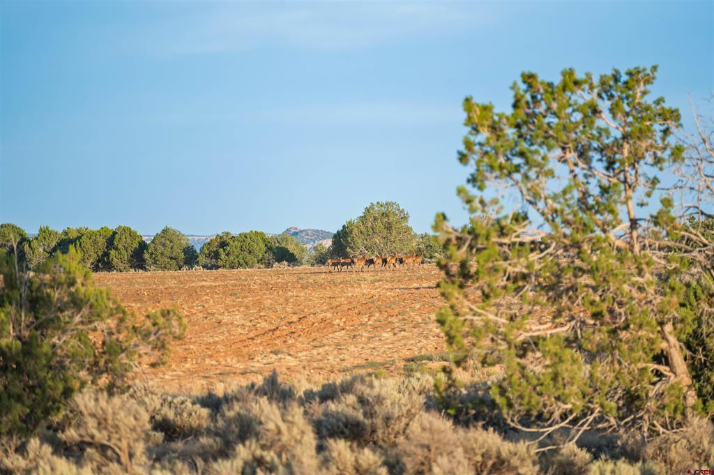 Tbdwp County Road 106 Property Photo 45