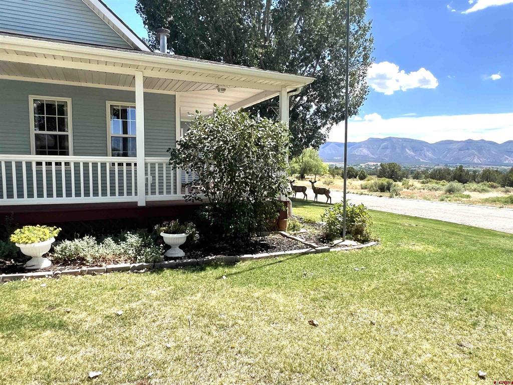 706 Apple Drive Property Photo 4