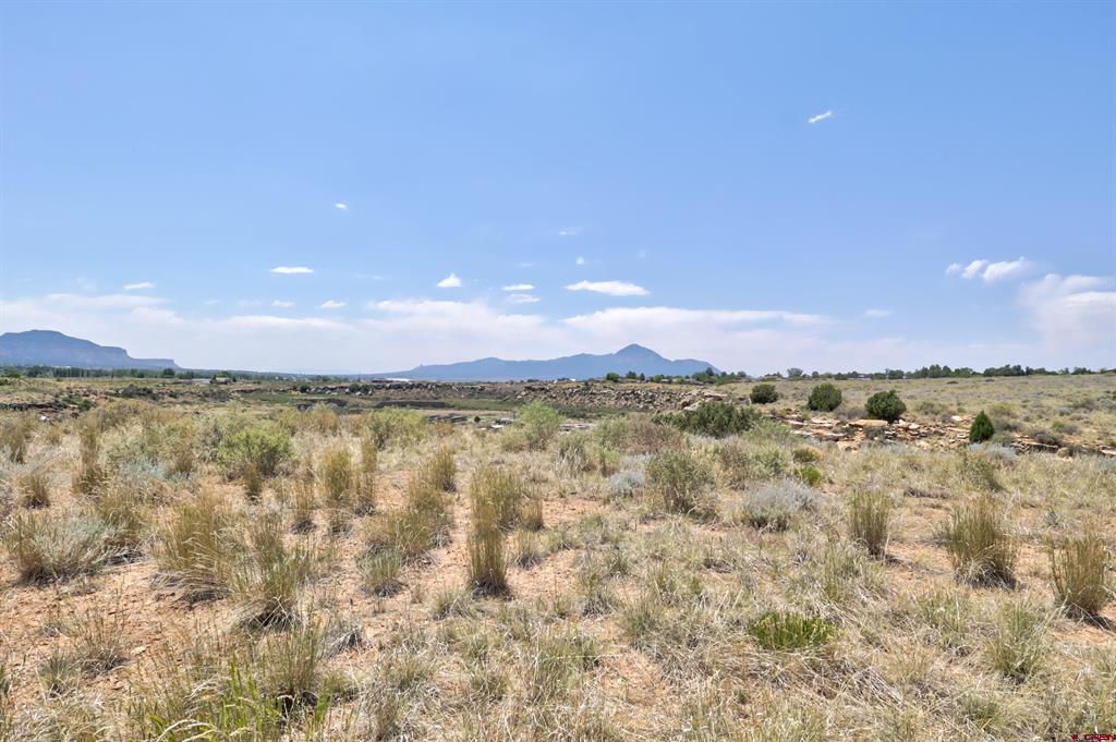 1125 Bluffs Boulevard Property Photo 13