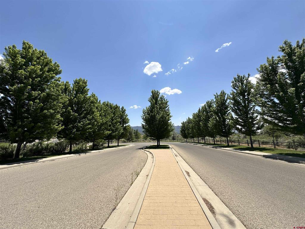 1125 Bluffs Boulevard Property Photo 28