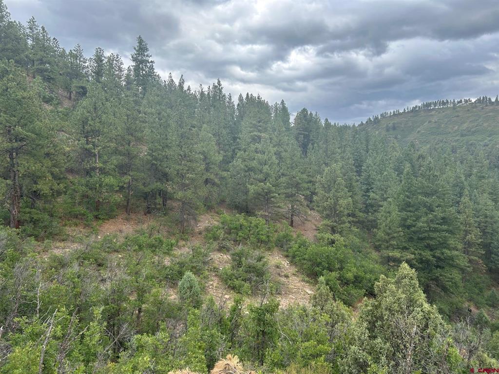 17235 Hwy 160 Property Photo 2