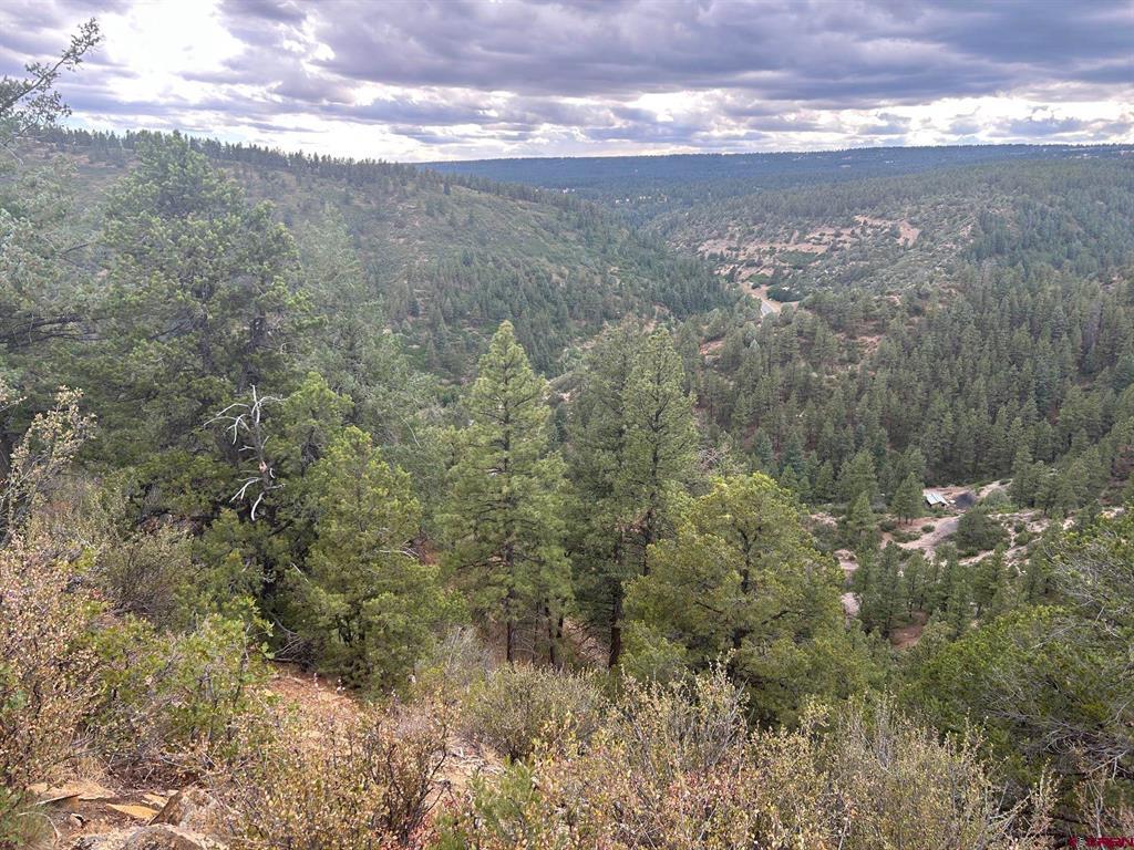 17235 Hwy 160 Property Photo 4