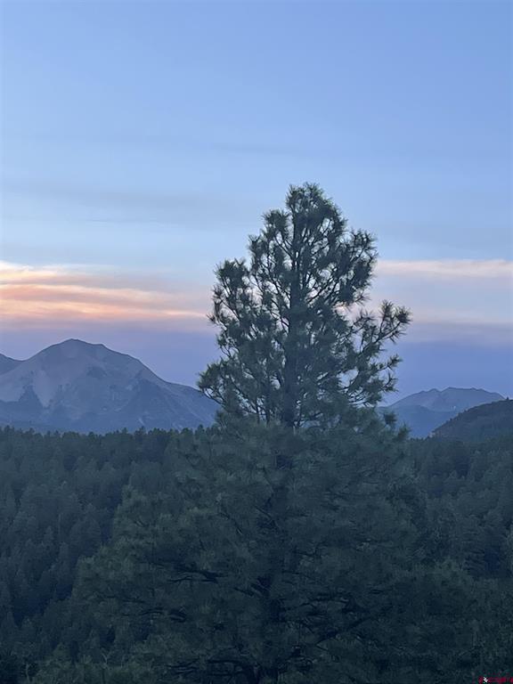 17235 Hwy 160 Property Photo 8