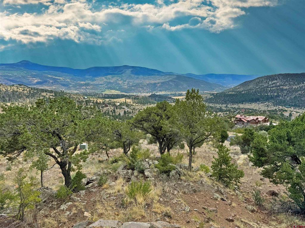 509 Black Bear Trail Property Photo 45
