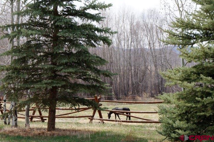 433 Meadow View Trail Property Photo 1
