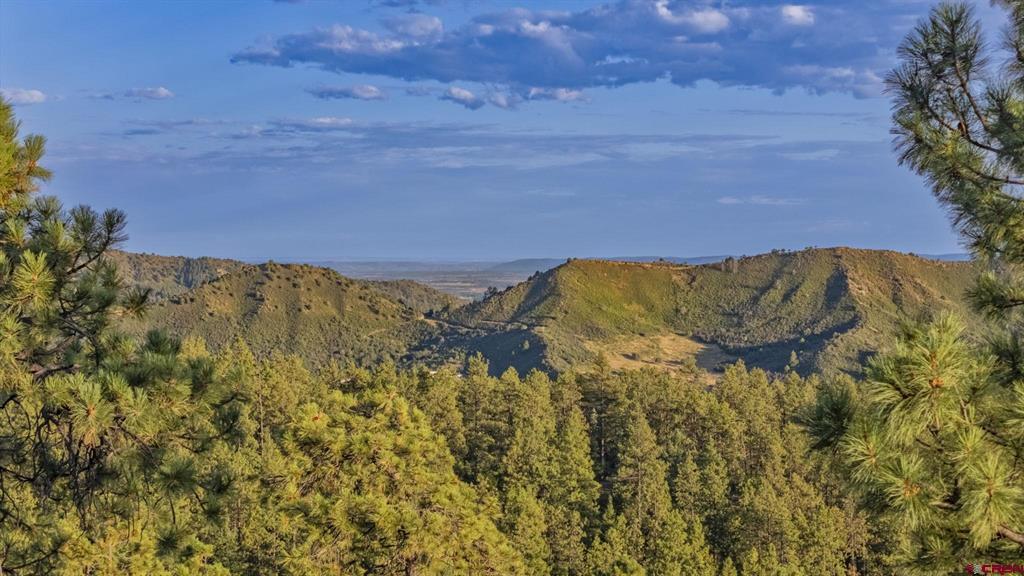 1351 Durango Cliffs Property Photo 43