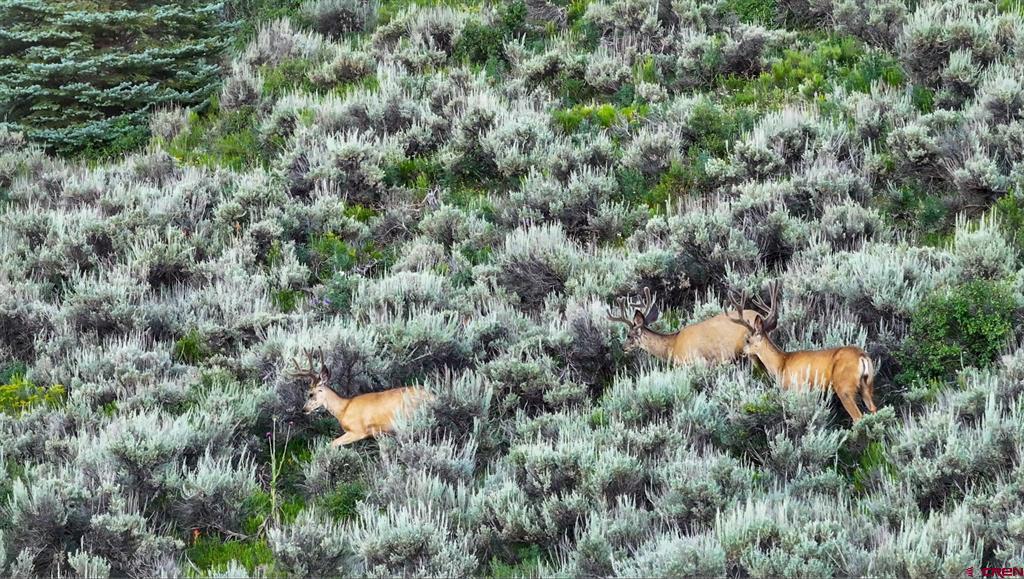 000 Highway 133 Property Photo 2