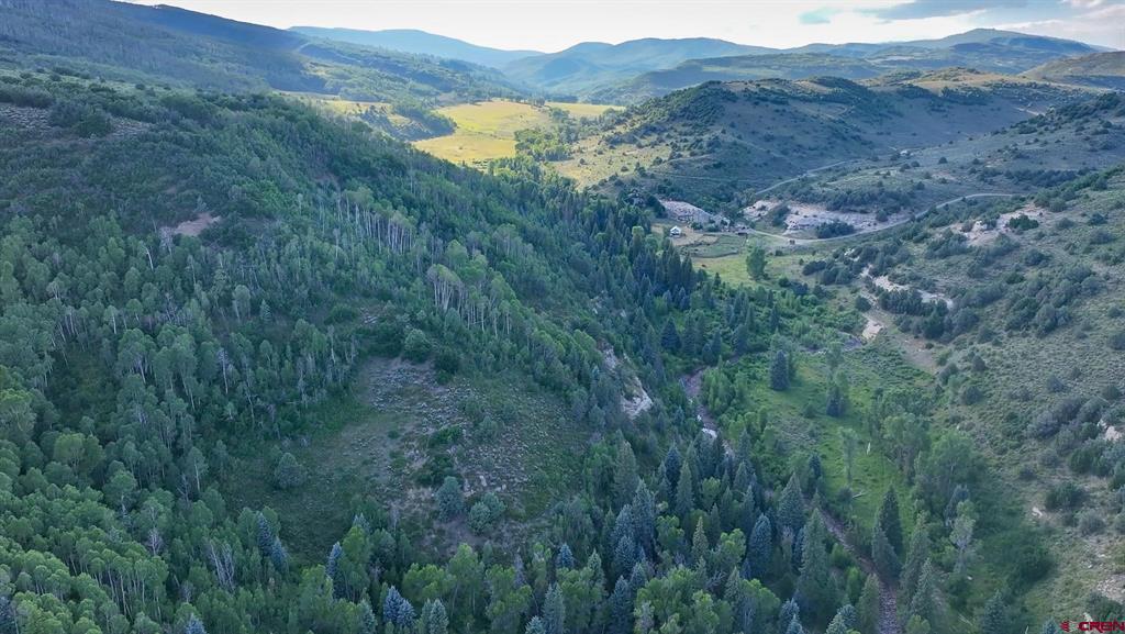 000 Highway 133 Property Photo 3