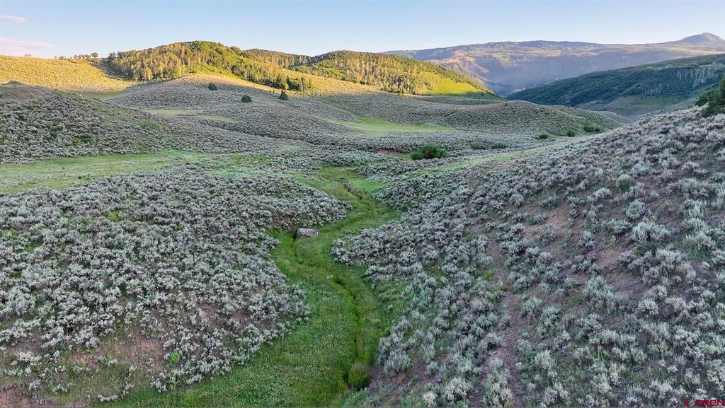 000 Highway 133 Property Photo 6