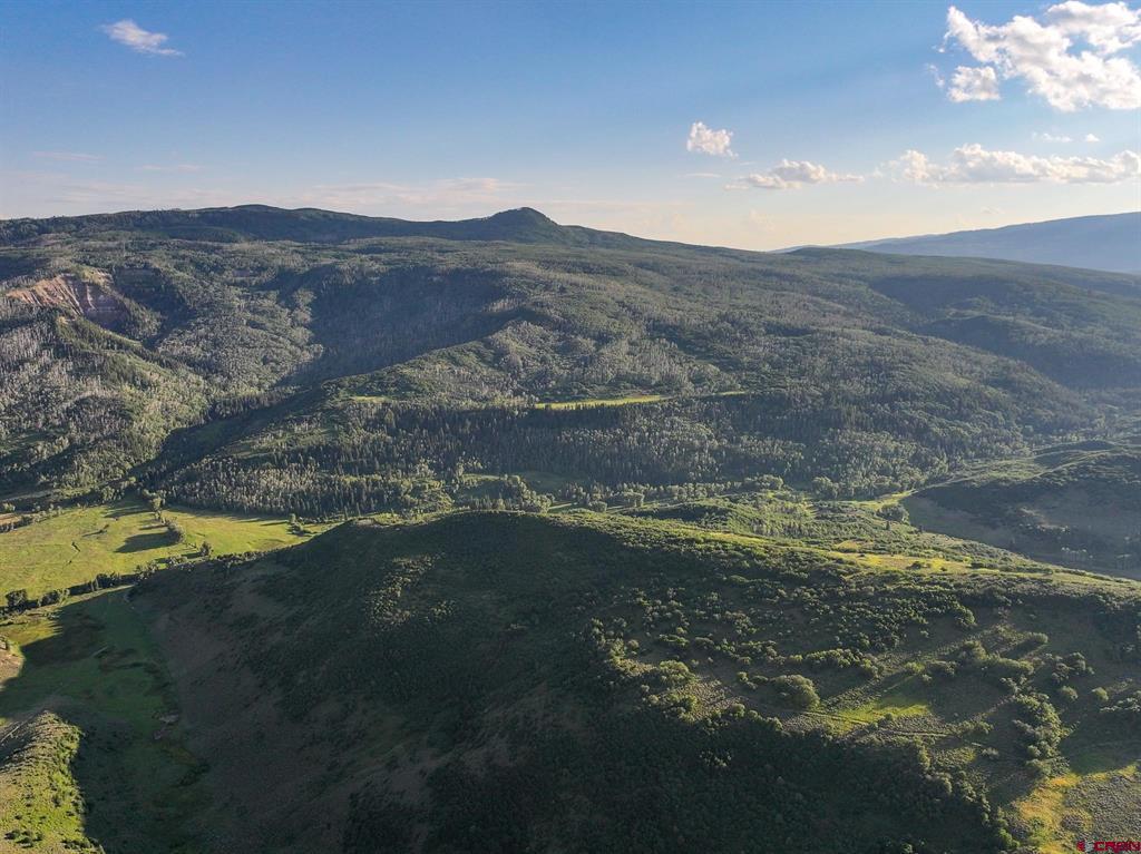 000 Highway 133 Property Photo 17