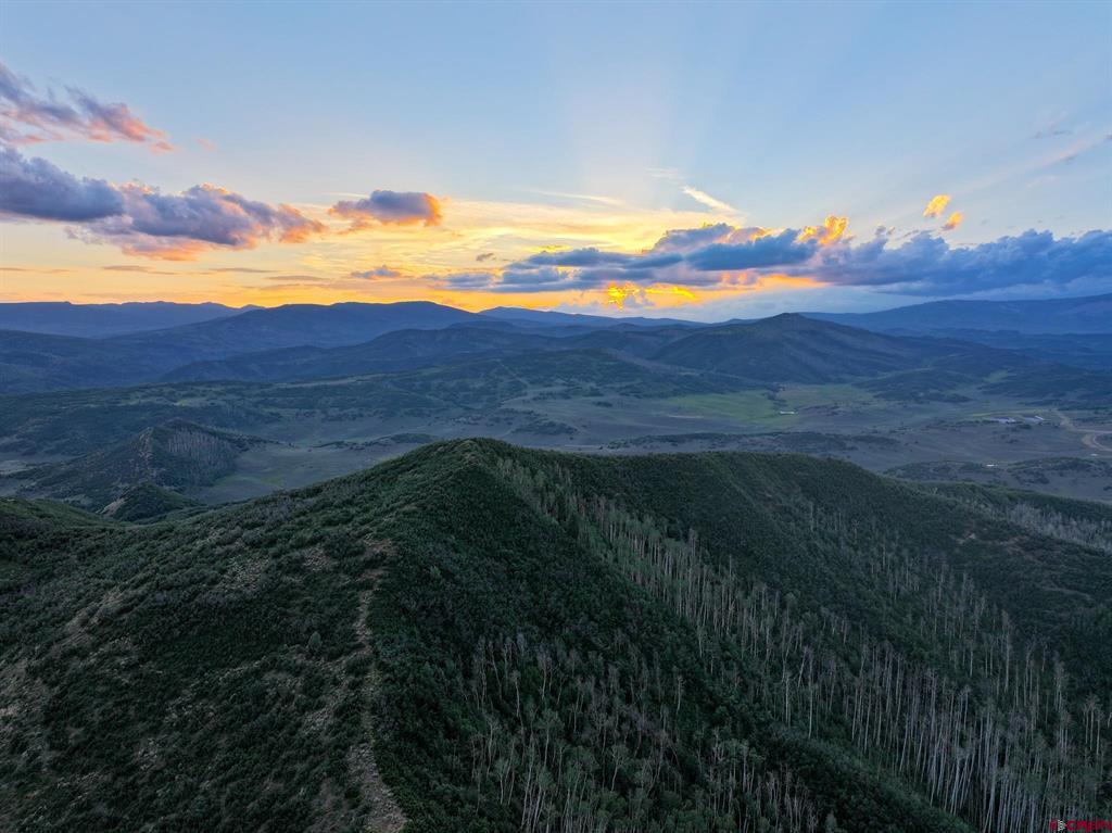 000 Highway 133 Property Photo 21