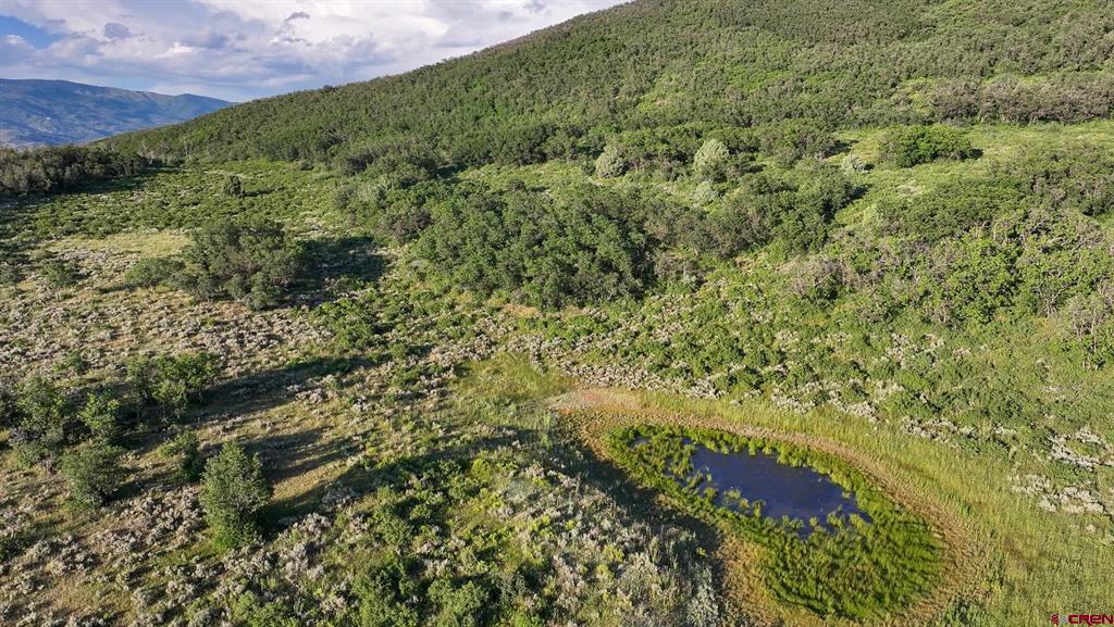 000 Highway 133 Property Photo 28