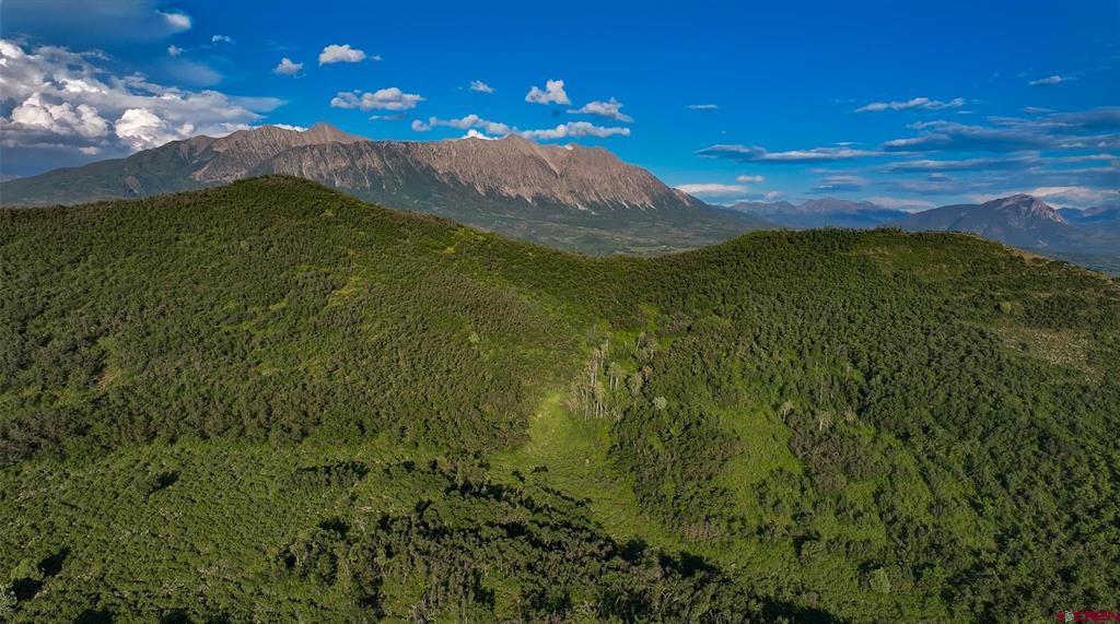 000 Highway 133 Property Photo 37