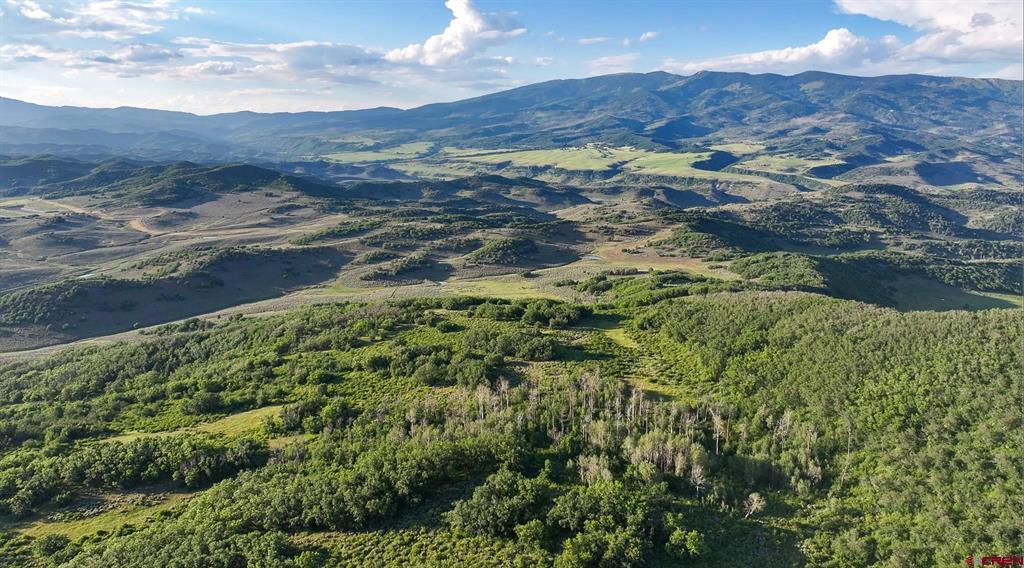 000 Highway 133 Property Photo 38