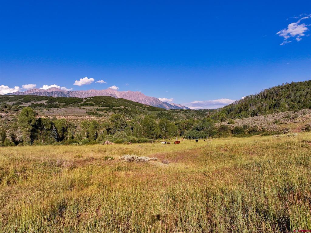 000 Highway 133 Property Photo 39