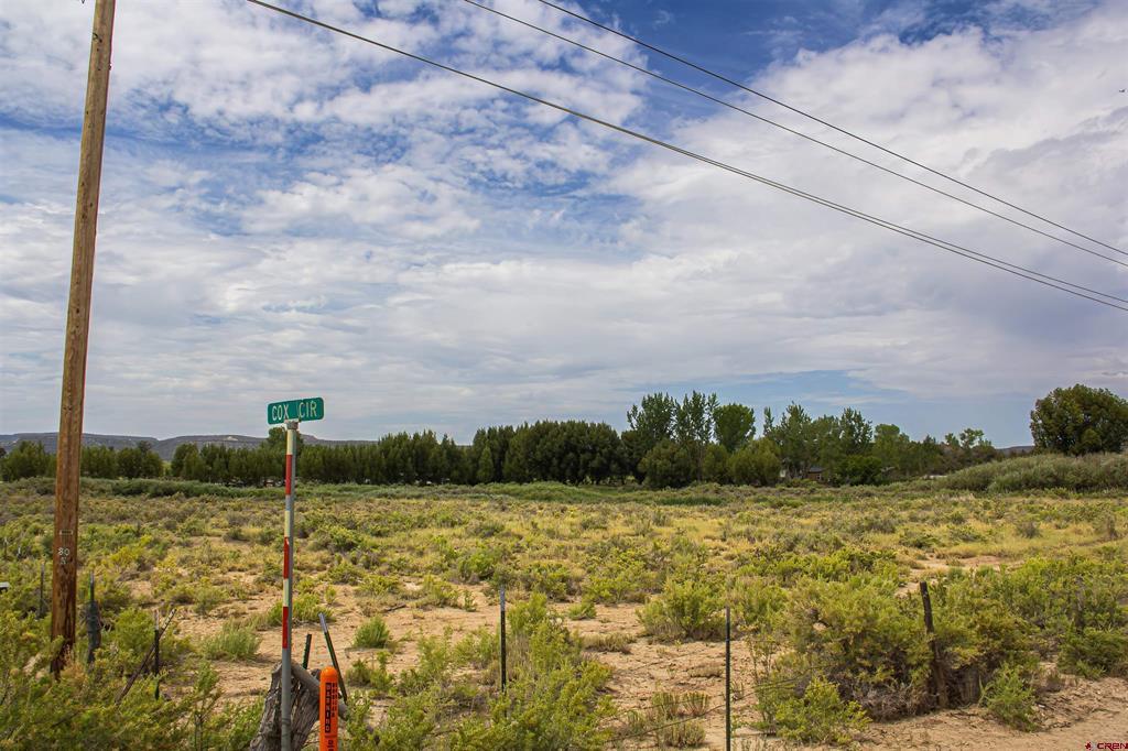 X Cox Circle Property Photo 3