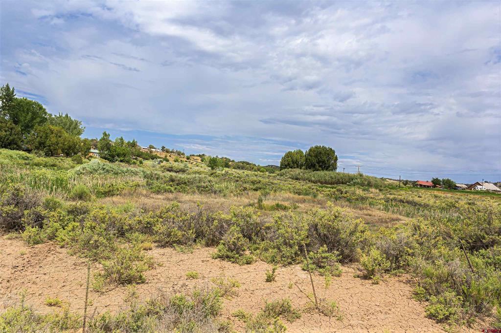 X Cox Circle Property Photo 5