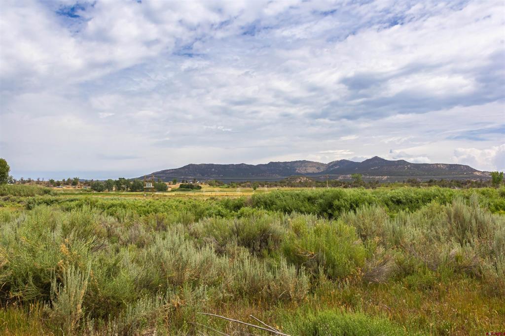 X Cox Circle Property Photo 9