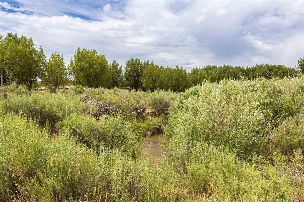 X Cox Circle Property Photo 13