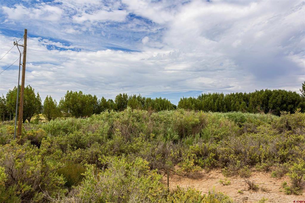 X Cox Circle Property Photo 14