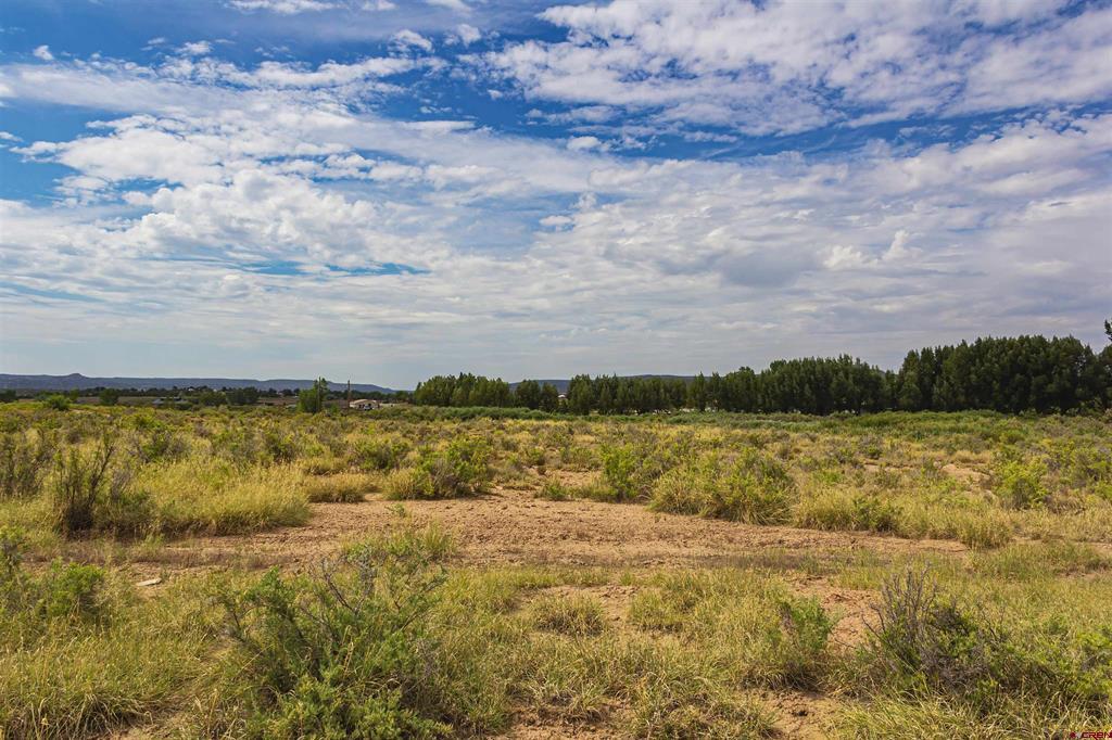 X Cox Circle Property Photo 22