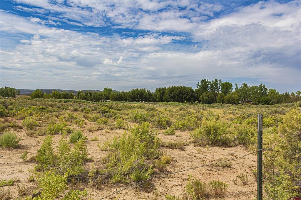 X Cox Circle Property Photo 23