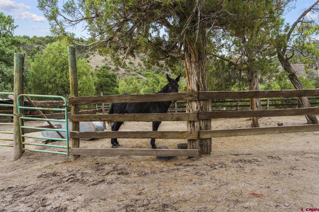 2173 & 2113 Rancho Durango Road Property Photo 7