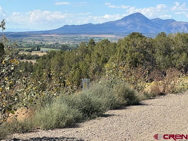 Tbd Road V4 Property Photo 9