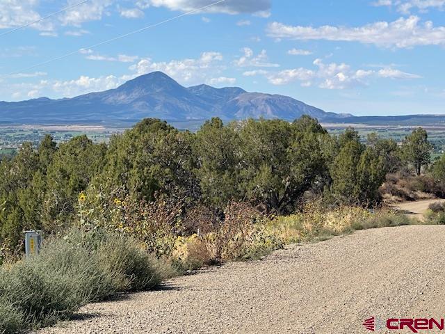 Tbd Road V4 Property Photo 12