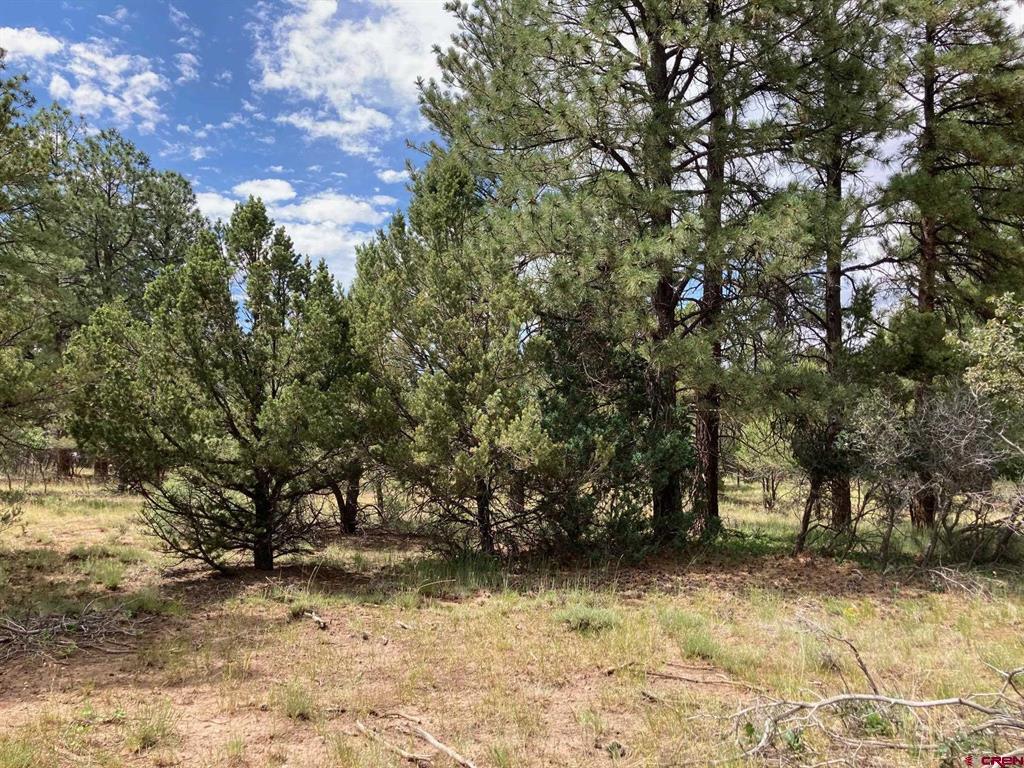 Lot 422 (TBD) South Badger Trail Property Photo 1