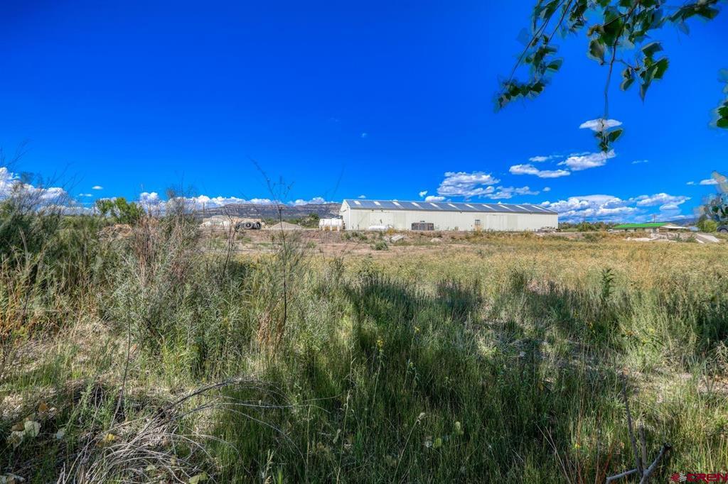 13806 State Highway 151 Property Photo 15