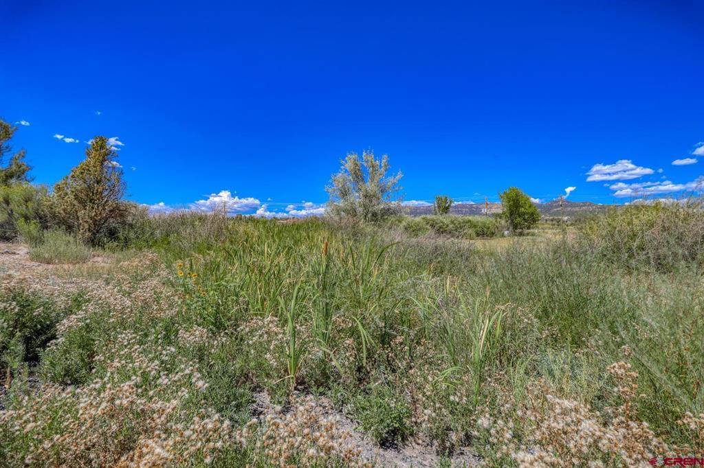 13806 State Highway 151 Property Photo 20