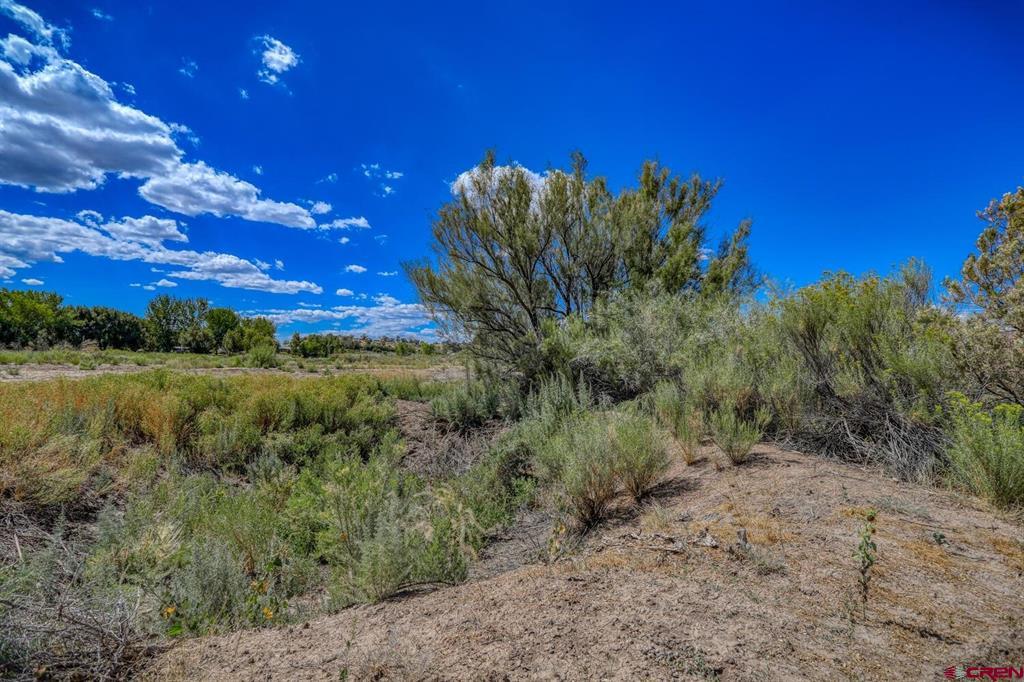 13806 State Highway 151 Property Photo 21