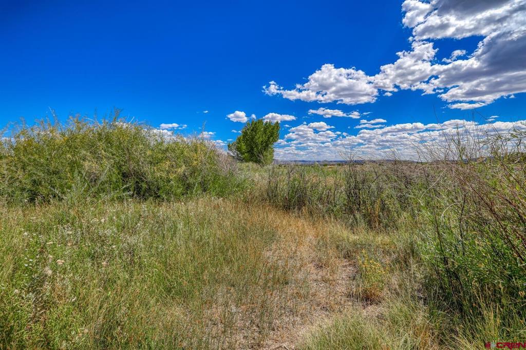 13806 State Highway 151 Property Photo 22