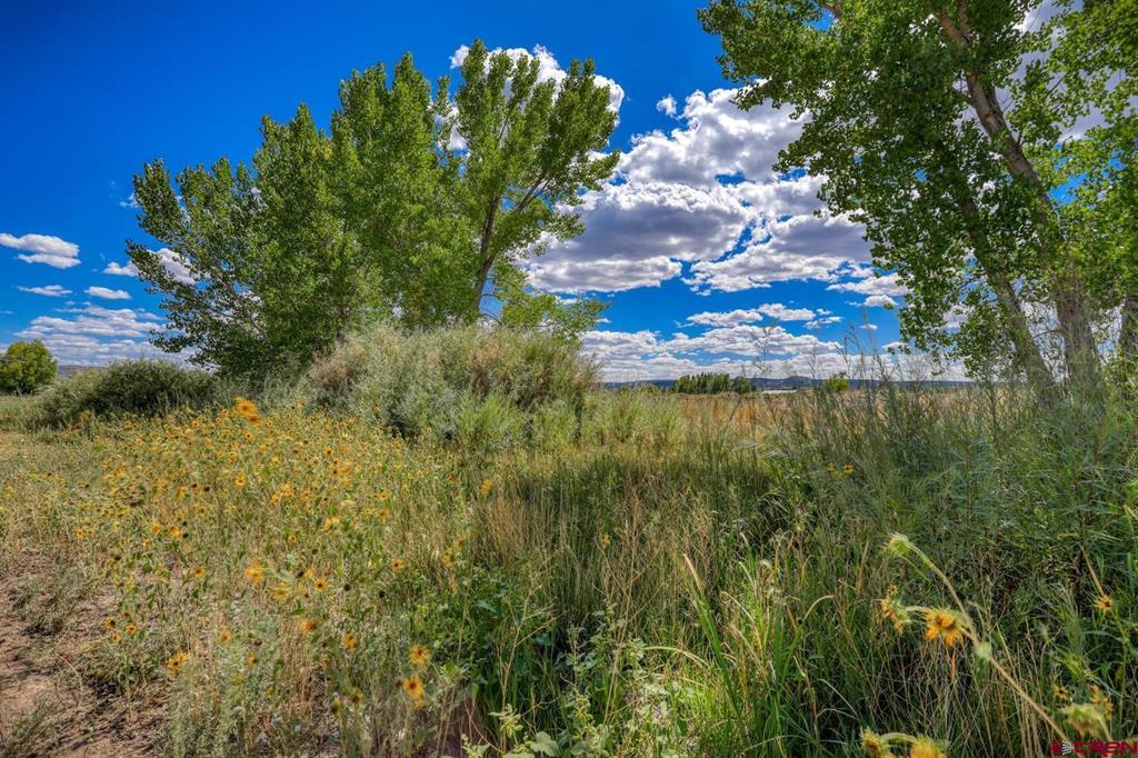 13806 State Highway 151 Property Photo 23