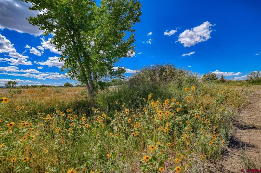 13806 State Highway 151 Property Photo 24