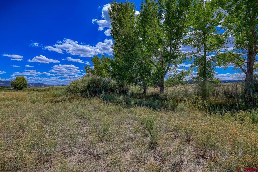 13806 State Highway 151 Property Photo 25