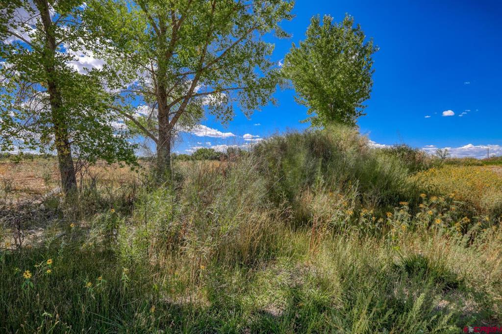 13806 State Highway 151 Property Photo 26